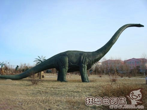 世界上最大的史前动物是什么，为什么史前动物都会长得很大?