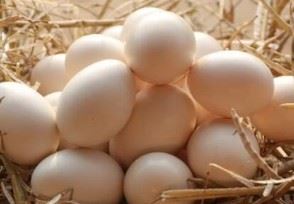 鸡蛋批发价一斤涨一元 未来蛋价走势如何？