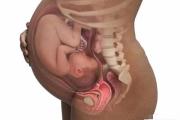 孕中孩子的脚在哪个部位？
