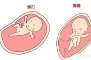 怀孕五个月，胎动为什么总是在右侧？