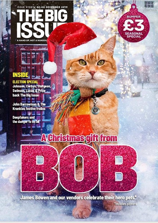 流浪猫鲍勃去世 一只猫背后的感人故事