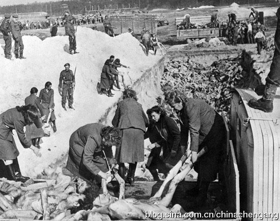 犹太人大屠殺历史图片 二战德国纳粹屠杀犹太人裸尸如山