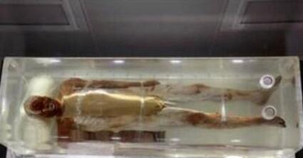 古代第一美男潘安容貌复原图 潘安古尸容貌复原图