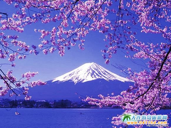 日本看赏樱花哪里好