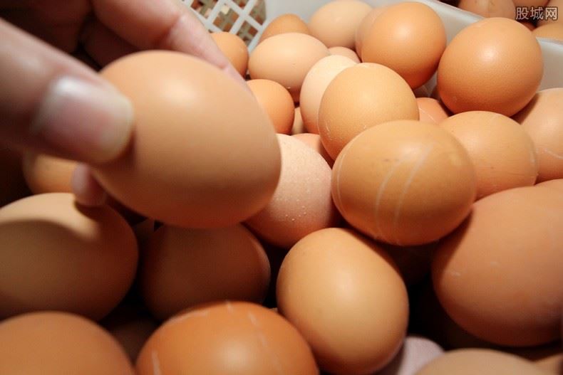 鸡蛋价格上涨