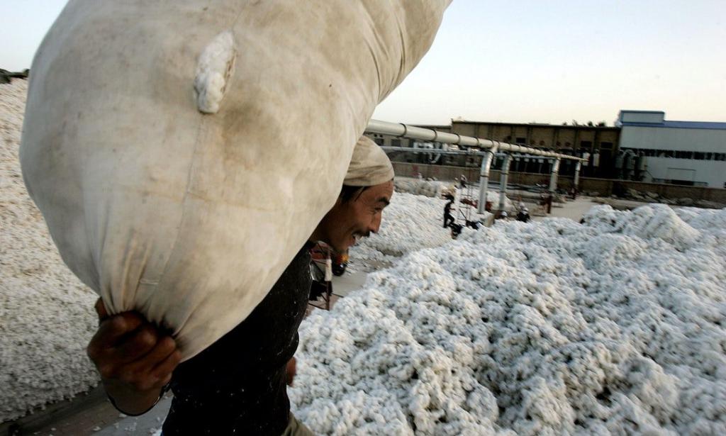新疆棉花是什么梗