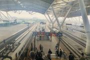 郑州高铁站什么时候恢复正常 揭恢复开通列车时间