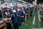 东莞、广州、深圳的哪些工厂的女孩子比较多？