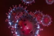 德尔塔病毒和新冠病毒区别 致死率高吗？