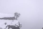 宁夏有气象记录以来最早的一场雪是几月几号下的？