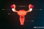 卵巢功能下降会发出哪些信号呢？