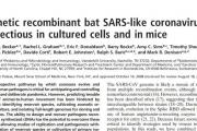 惊人发现！美国2008年已人工合成SARS样冠状病毒