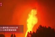 希腊山火失控天空被火光映红 希腊山火现场图片曝光