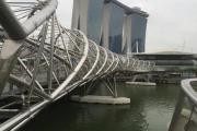 申请新加坡留学的步骤是怎样的？(如何申请新加坡留学)