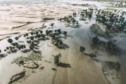 地球怎么了？塔克拉玛干沙漠竟遭遇洪水，难道世界末日要来了吗？