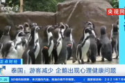泰国新冠疫情日益严峻 游客减少导致企鹅出现心理问题
