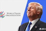 如果美国真的退出了世界贸易组织，那么受伤害最大的国家是不是美国？