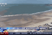 福建漳州11人海滩遇难！“凶手”或许是它