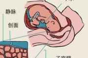 顺产时突发羊水栓塞死亡是怎么回事？高龄妈妈和二胎妈妈如何预防？