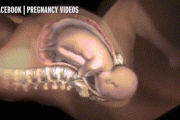 孕妇分娩时胎儿在干嘛？
