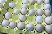 最近鸡蛋为何涨价这么厉害 后期还持续上涨吗？
