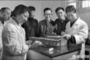 中国人工合成牛胰岛素为何未获诺贝尔奖？