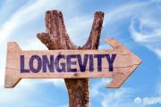 50岁后，是身体“养寿期”，要护好哪几个地方，可助力长寿？