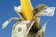 农民怎样才能预判玉米价格的涨和跌，从而达到收益最大化？