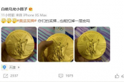 朱雪莹的金牌脱皮！日本网友嘲讽：小题大做，中国选手的可耻行为