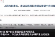 上海市副市长市公安局局长被查 涉及什么罪名