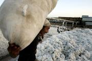 新疆棉花是什么梗,新疆棉花事件始末介绍