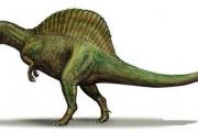 史前最危险而最大的恐龙十种 棘龙同时统治大海陆地