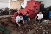 广东一制毒窝点发现542枚恐龙蛋化石，已交由相关机构