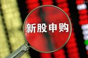 金三江今日申购 发行市盈率为16.91倍