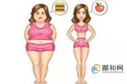 优质如何通过减肥食谱一周瘦10斤