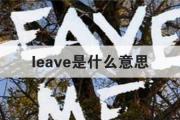 leave是什么意思