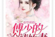 主角是沈湘傅少钦的小说叫什么名字？