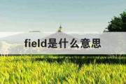 field是什么意思