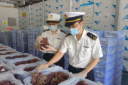 深圳海关保障新鲜葡萄顺畅出口东盟