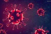 2022年新冠病毒能消失吗 疫情结束时间预测