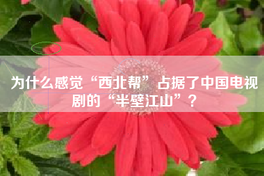 为什么感觉“西北帮”占据了中国电视剧的“半壁江山”？