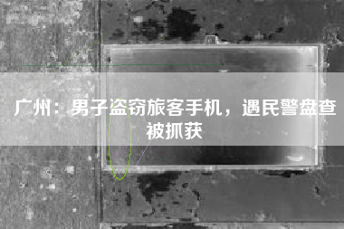 广州：男子盗窃旅客手机，遇民警盘查被抓获