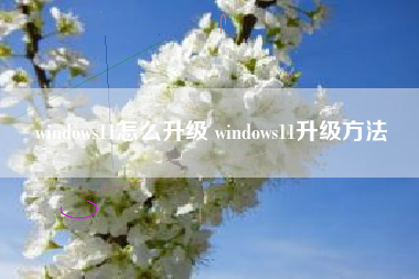 windows11怎么升级 windows11升级方法