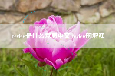 review是什么意思中文 review的解释
