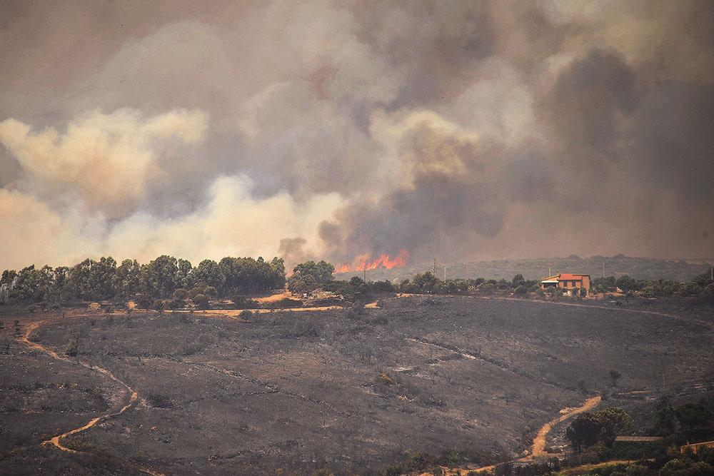 南欧多国遭遇野火，欧洲环境署警告该地区受气候变化影响大
