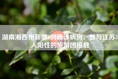 湖南湘西州新增1例确诊病例，曾与江苏3人阳性的旅游团接触