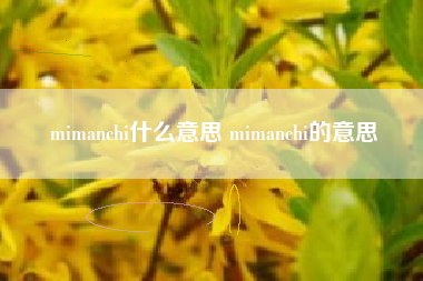mimanchi什么意思 mimanchi的意思