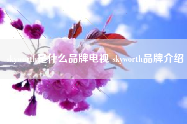 skyworth是什么品牌电视 skyworth品牌介绍