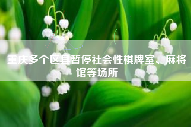 重庆多个区县暂停社会性棋牌室、麻将馆等场所