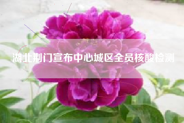 湖北荆门宣布中心城区全员核酸检测